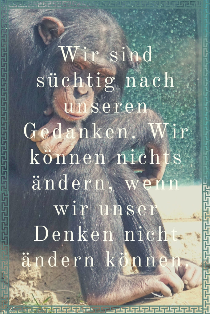 Verstand, Mindset, Gedanken, Meditation, Meditation lernen