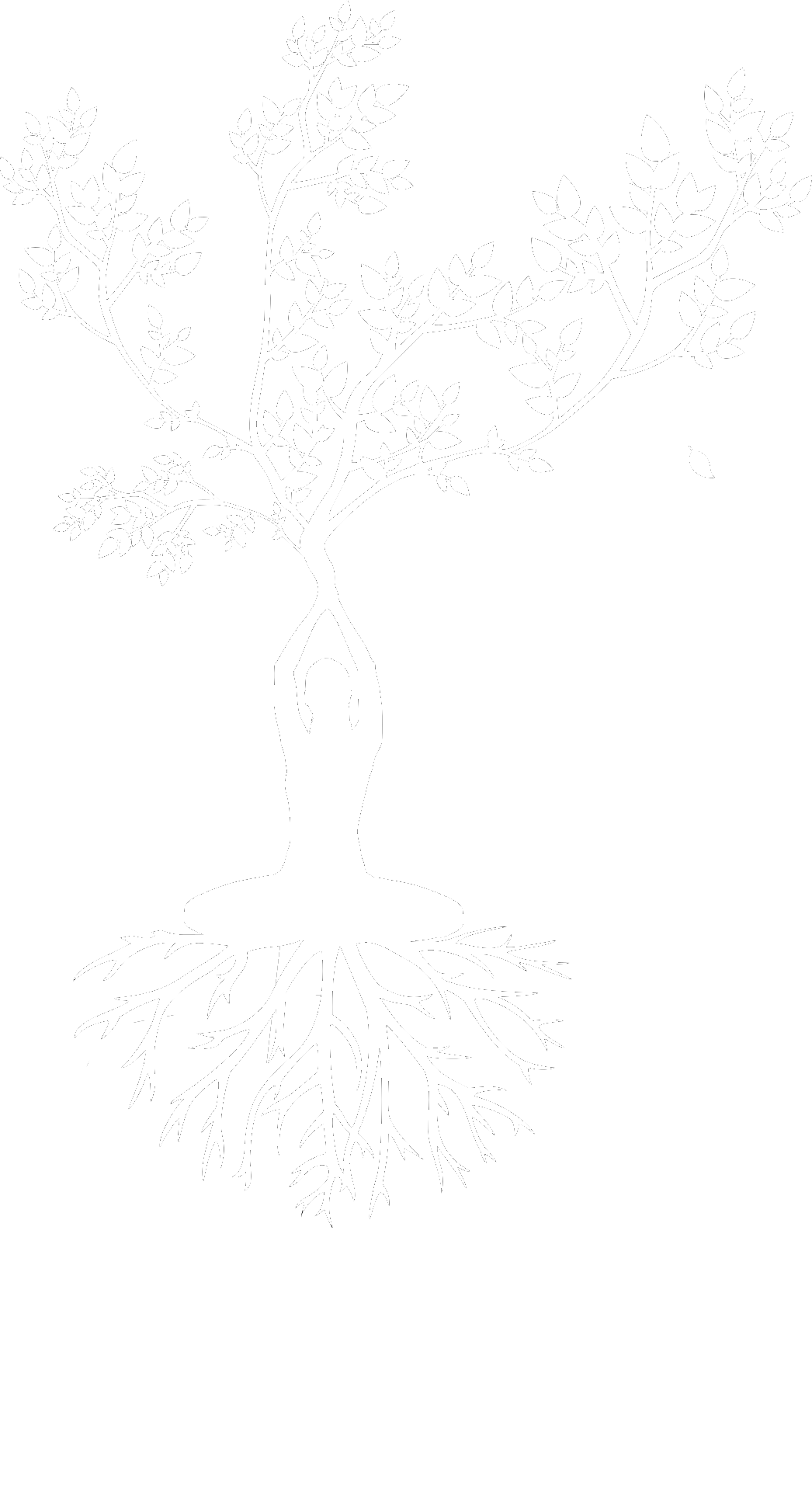 WachstumsDenken, Verena Gittner, Meditation, Meditation Lernen, meditation für anfänger, angänger meditation, beginner meditation, meditation für beginner