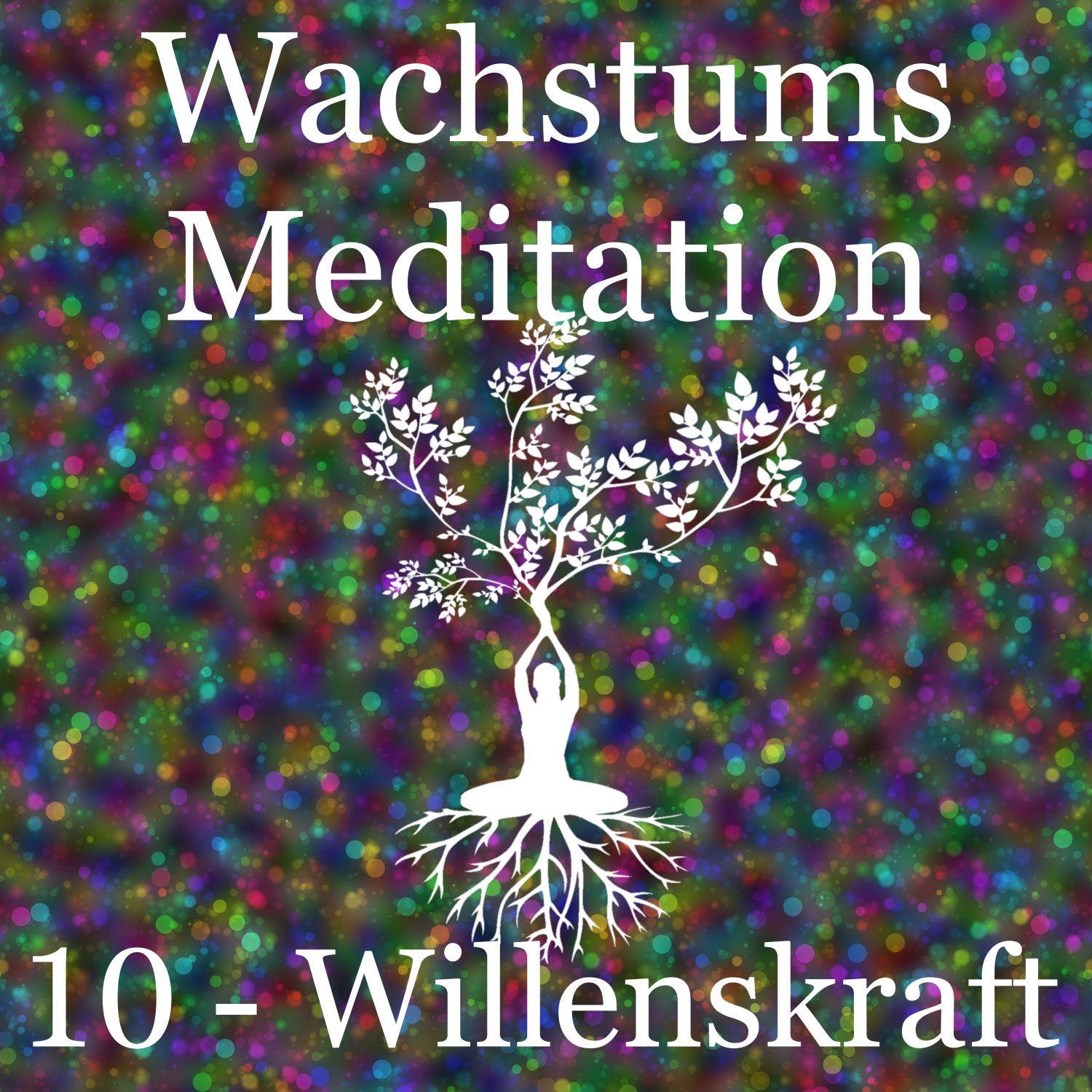 Featured image for “Geführte Beginner Meditation – Teil 10, Willenskraft”
